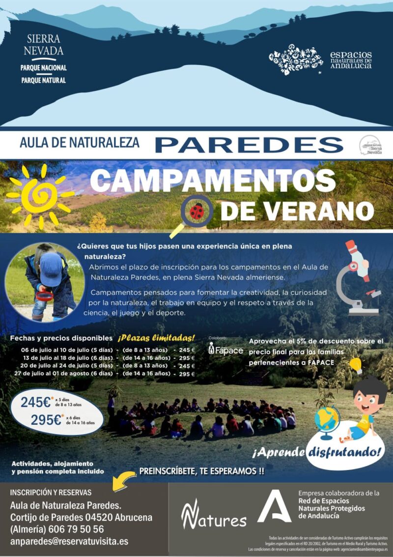 CAMPAMENTOS DE VERANO Fapace