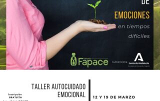 Taller de autocuidado emocional